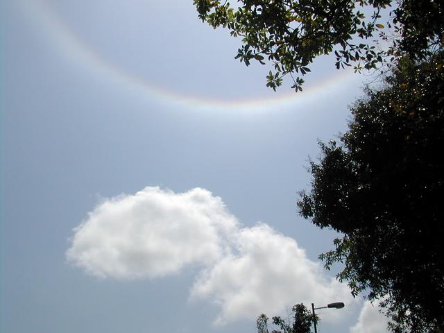 dscn1610.jpg