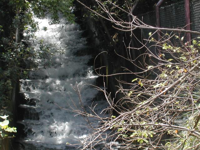 dscn1617.jpg