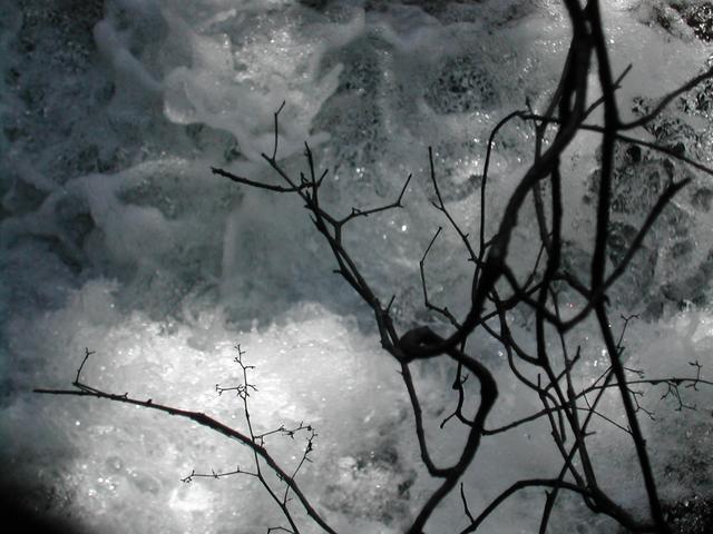 dscn1627.jpg