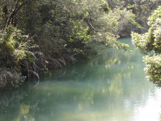 dscn1629.jpg