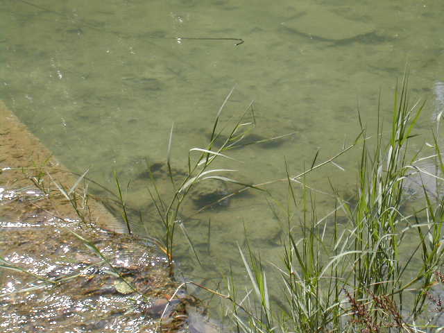 dscn1630.jpg