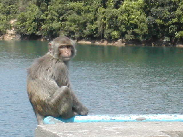 dscn1652.jpg