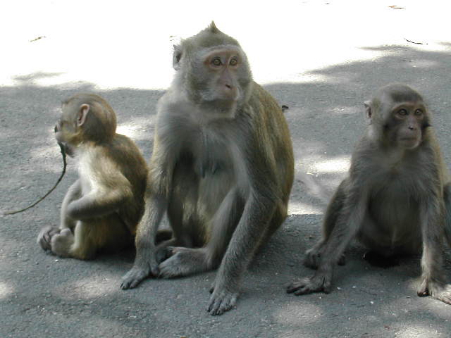 dscn1656.jpg